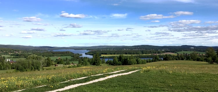 Välkommen till Ullvis nya hemsida!